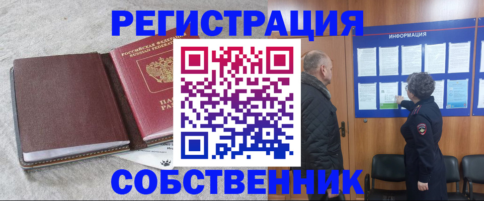 временная регистрация надежно в Элисте